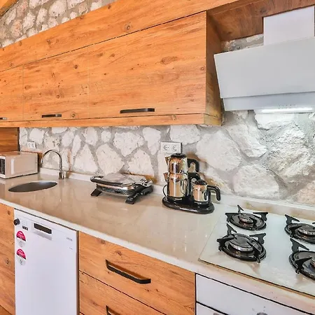 Begonvilla Stone 빌라 Gelemiş